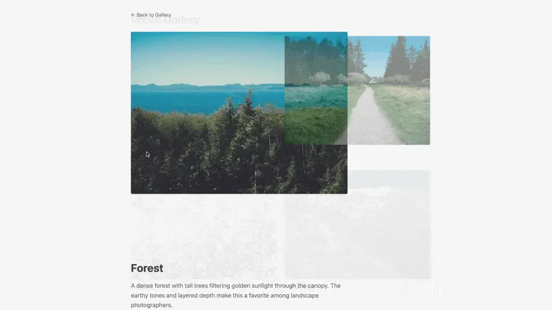 Turbo Drive - Shared Element View Transitions
